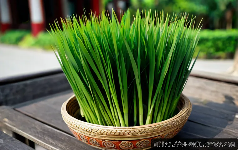Cách thiết kế hệ thống phản biện đồng cấp cho nhóm sáng tạo số: quy trình, công cụ và chi phí cần cân nhắc 4 디지털 제작자 운동의 피어 리뷰 시스템 관련 이미지 2